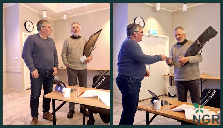 Styreleiar/styreleiar